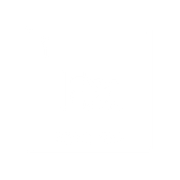 Executive