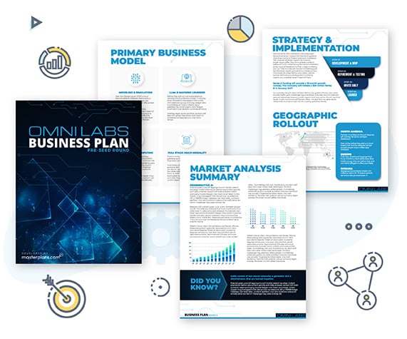 Template for an Investor Business Plan
